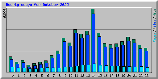 Hourly usage for October 2025